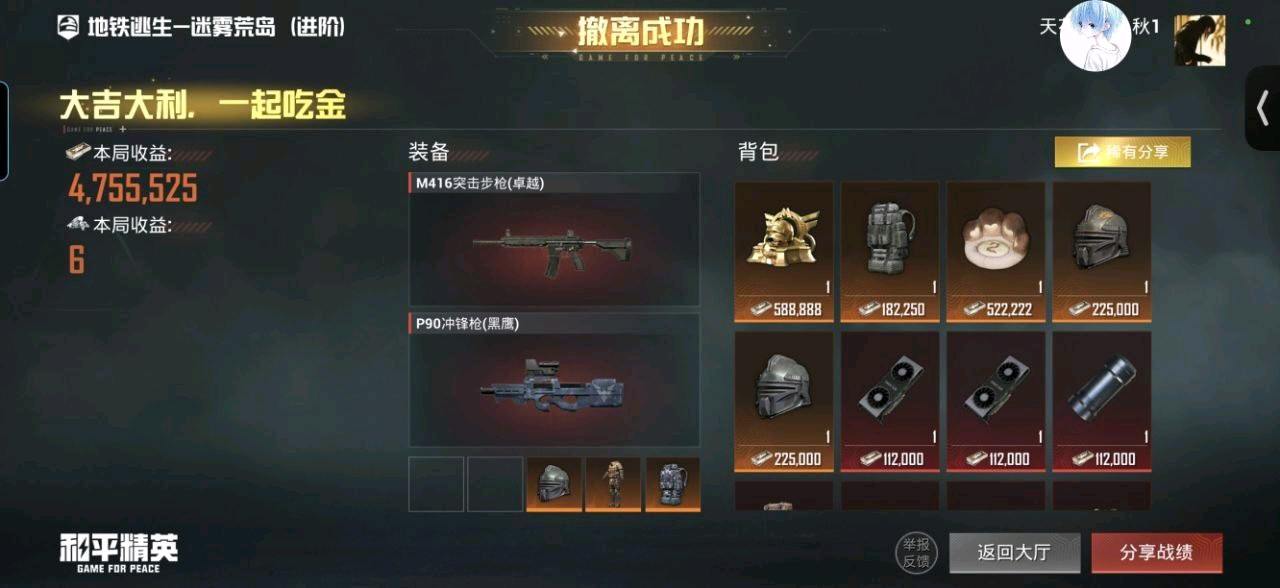 和平精英直装小小葵注入2.0修复版