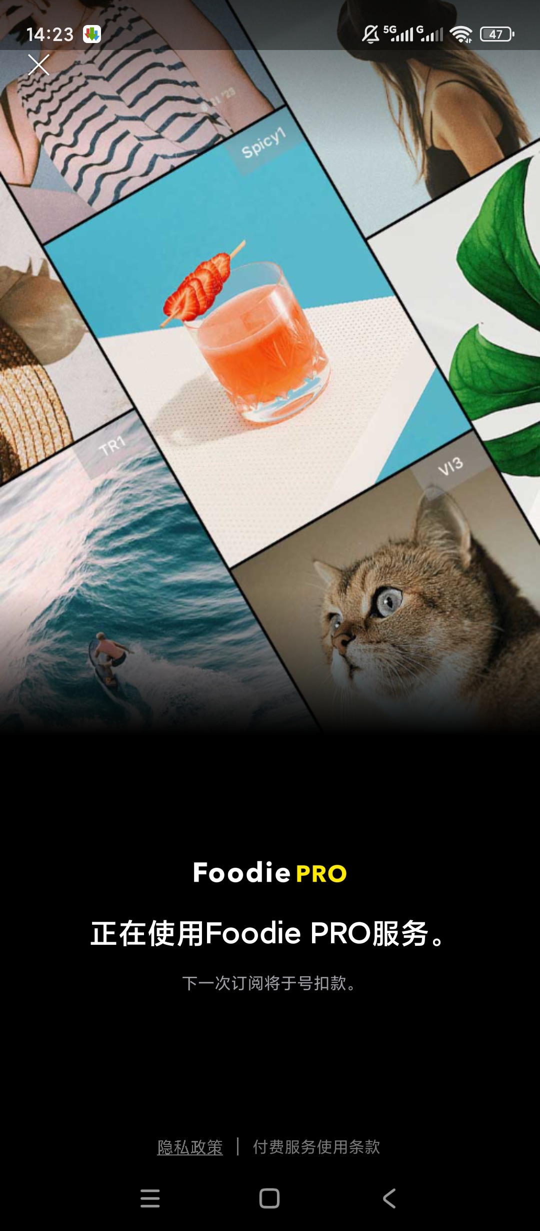 【原创解锁】Foodie解锁会员美食胶片滤镜氛围感拍摄 【原创解锁】Foodie解锁会员美食胶片滤镜氛围感拍摄